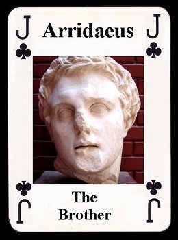 Arridaeus