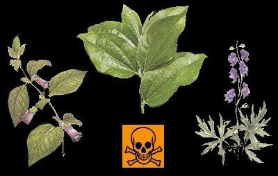 Poisonous Plants