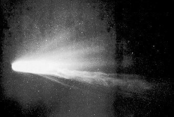 Halley's Comet